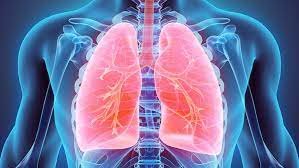 Department of Chest Diseases